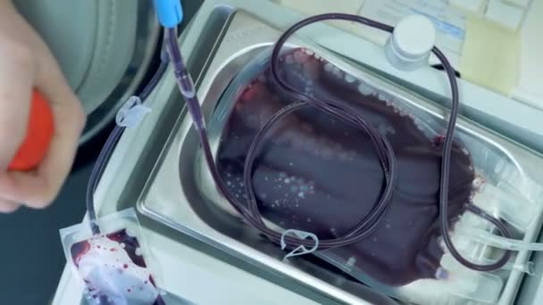 Un bénévole serre une balle tout en faisant don de sang dans un centre moderne . — Video