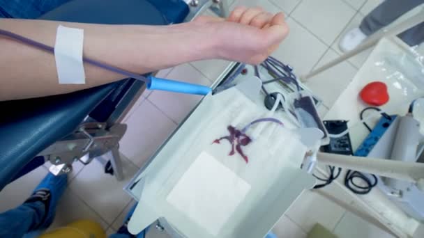 La sangre donada llena una bolsa de plástico mientras una persona la bombea . — Vídeos de Stock
