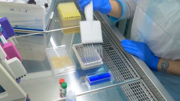 Una persona utilizza attrezzature di laboratorio, lavorando con campioni su un tavolo . — Video Stock