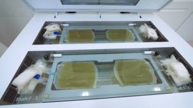 Sarı plazma makine bir laboratuvar analiz yerleştirilir ile plastik torbalar.