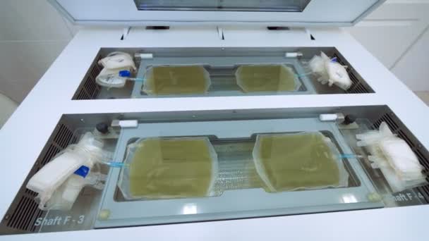 Bolsas de plástico con plasma amarillo colocadas en una máquina de análisis en un laboratorio . — Vídeos de Stock
