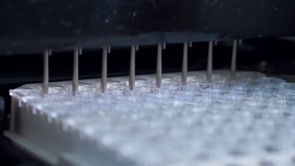 Medical equipment pouring liquid into sample tubes at a laboratory. — Stock Video