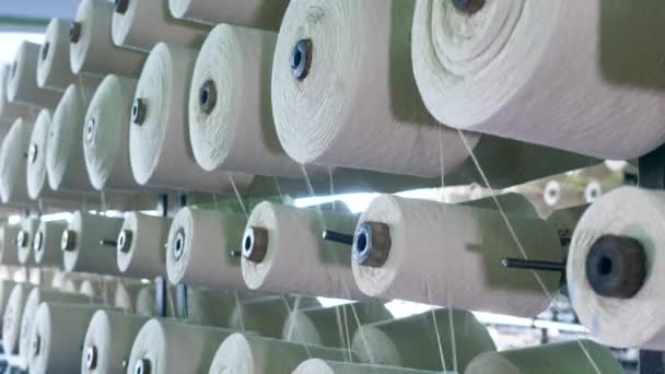 White fiber spooling on bobbins, placed on racks at a factory. — Stock Video