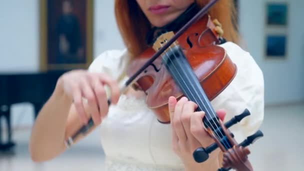 O violino está a ser tocado pela mulher — Vídeo de Stock