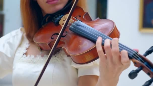 바이올린은 능숙 하 게 여자에 의해 연주 되고있다 — 비디오