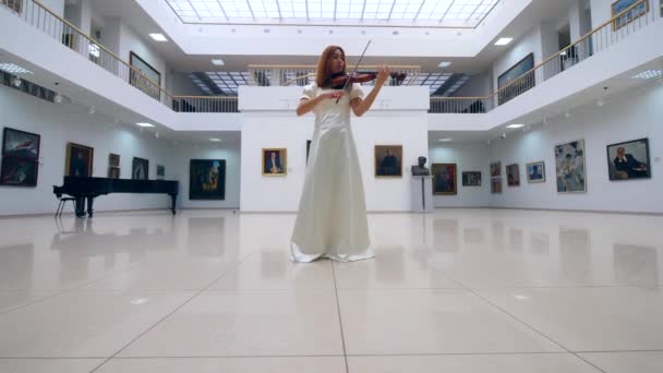 Museo de Arte y una encantadora dama tocando el violín — Vídeos de Stock