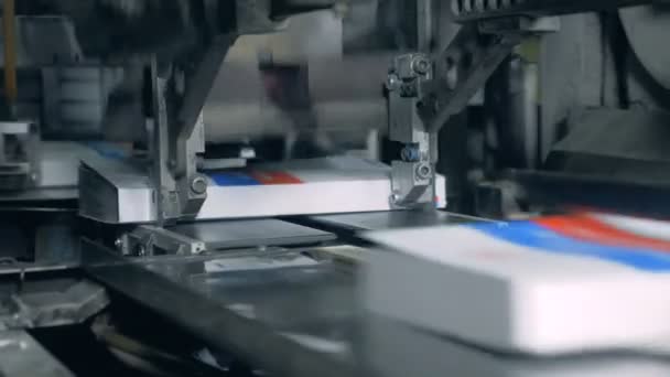 Books moving on a typographic conveyor, printing office. — Stock Video