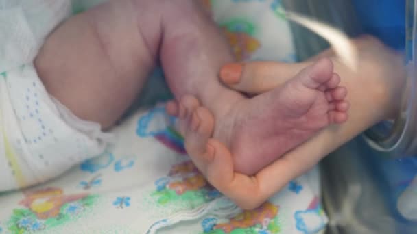 La mano femenina está tocando una pierna de un niño recién nacido — Vídeo de stock