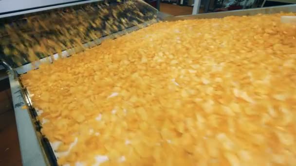 Картофельные чипы перемещаются промышленным транспортером — стоковое видео