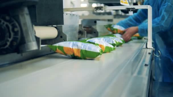 Packade chips blir borttagna från fabriks bältet — Stockvideo