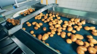 Endüstriyel taşıyıcı ıslak patates yerini alıyor