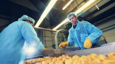 İki fabrika çalışanı patates yumrularını kesiyor