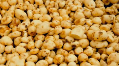Temizlenmiş patates yumrular yavaş yavaş bir yığın hareket ediyor