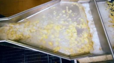 Taşıyıcı boyunca köpüklü sıvı içinde hareket eden patates parçalarıüst görünümü