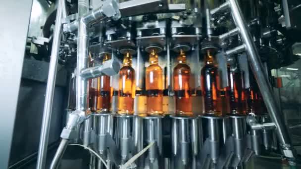 Металлический конвейер перевозит бутылки с алкоголем — стоковое видео