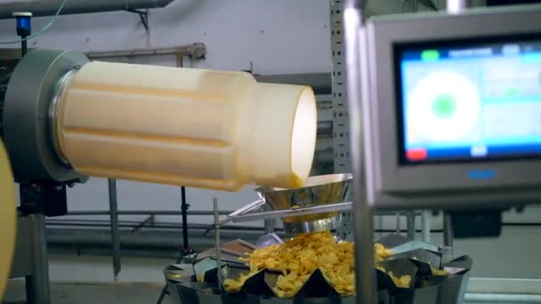 Instellingen van chips-producerende mechanisme worden gereguleerd door een dame — Stockvideo