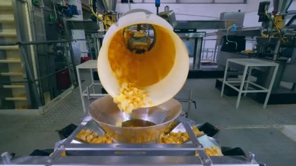 Chipsy nalewanie z przemysłowego mechanizmu — Wideo stockowe