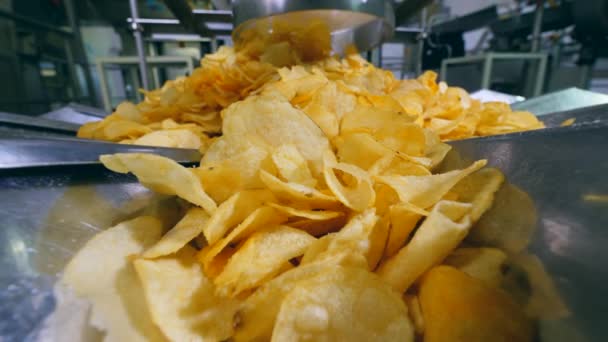 Uma pilha de batatas fritas é formada após a sua libertação pela máquina — Vídeo de Stock