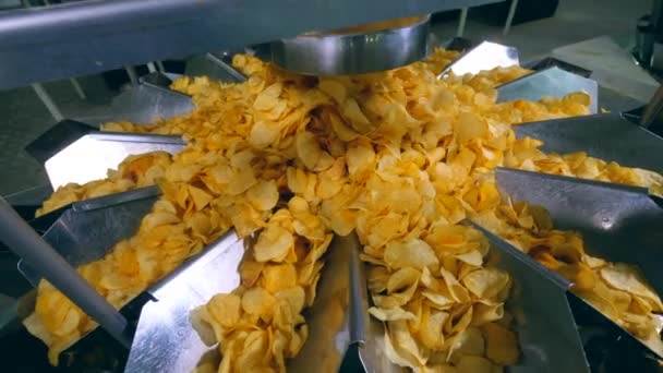 Batatas fritas estão se movendo ao longo dos dutos de metal na fábrica — Vídeo de Stock