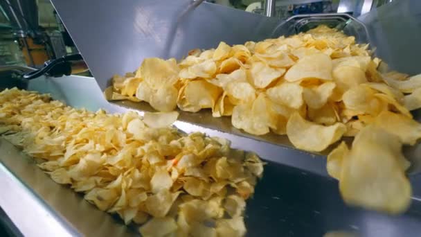 Potatischips får kastas på metall transportören — Stockvideo