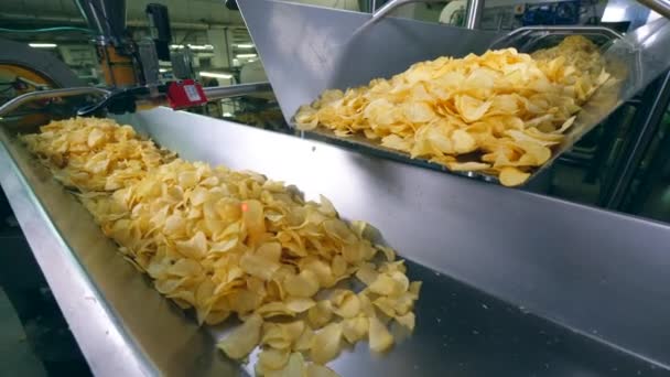 Металлический конвейер перемещает груды жареных чипсов — стоковое видео