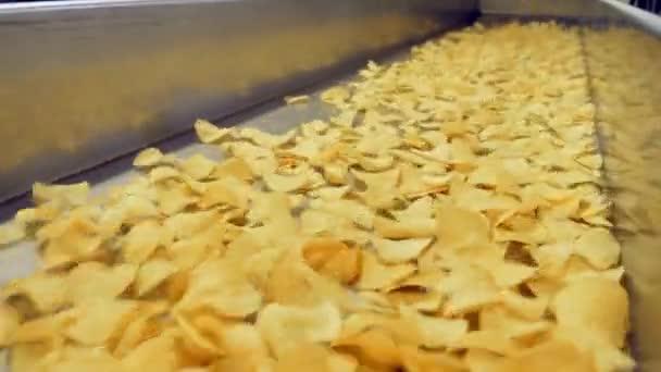 Movimiento de papas fritas a través del transportador de la fábrica — Vídeos de Stock