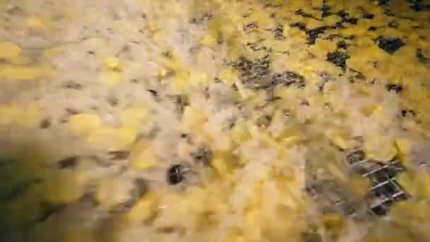 Un sacco di patatine vengono fritte in olio bollente — Video Stock