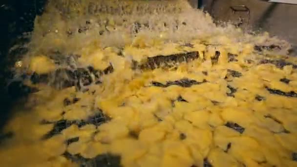 Passos transportador está realocando pedaços de batatas fritas em líquido — Vídeo de Stock
