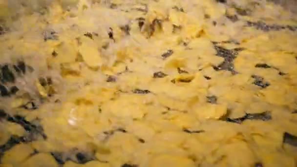 Kokende olie bedekt stukjes gesneden chips — Stockvideo