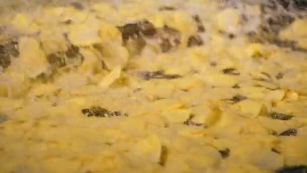 Aardappelchips zijn in beweging en worden gekookt in olie — Stockvideo