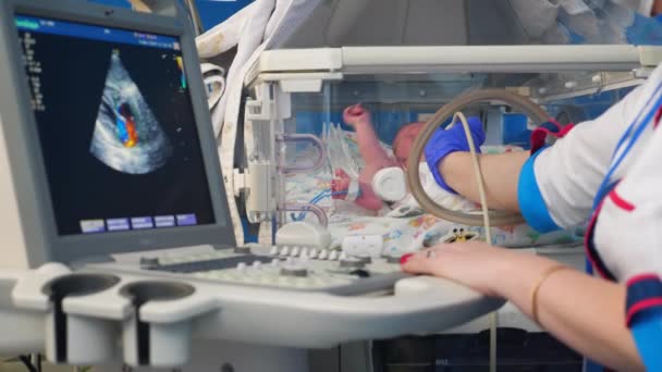 Female doctor is performing an ultrasound on a toddler — Stock Video