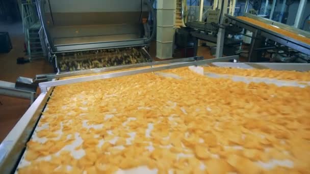Transportador industrial masivo desplazando papas fritas — Vídeos de Stock