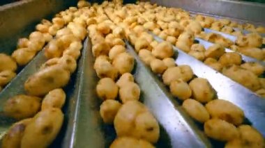 Patates kemer boyunca hareket ediyor ve titriyor