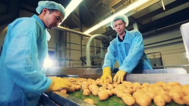 Potato tubers are getting processed by two workers — Stock Video