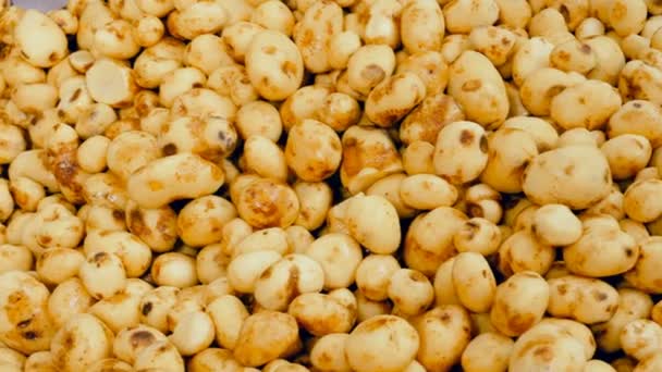 Gestapelde schone aardappelknollen bewegen langzaam — Stockvideo