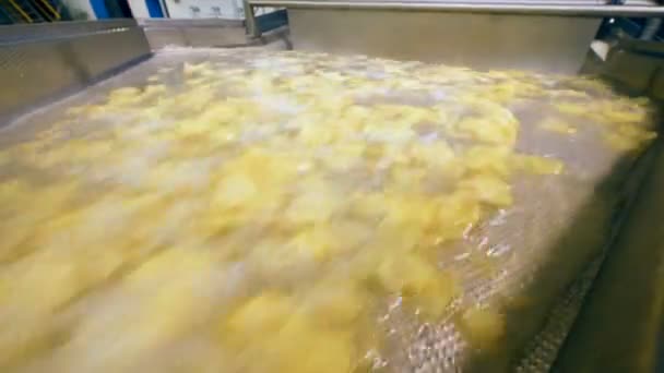 Potatis bitar och vatten rör sig längs transportbandet — Stockvideo