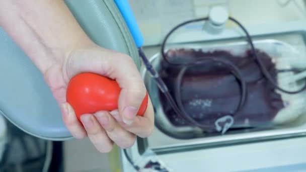 Il sangue sta riempiendo un sacchetto di plastica e la mano dei donatori sta stringendo una palla — Video Stock