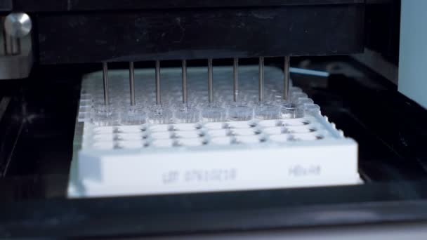 Laboratorium machine is het vullen van glazen buizen met vloeistof — Stockvideo