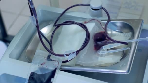 Bolsa de plástico con tubos se está llenando de sangre — Vídeos de Stock