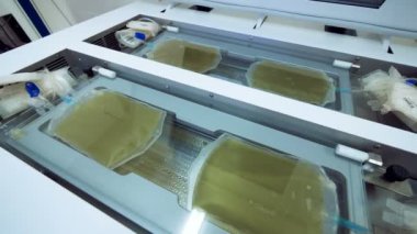 Cam altında plazma örnekleri ile plastik torbalar