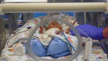 Hemşireler hastane odasında yeni doğmuş bir bebeğe bakıyor.