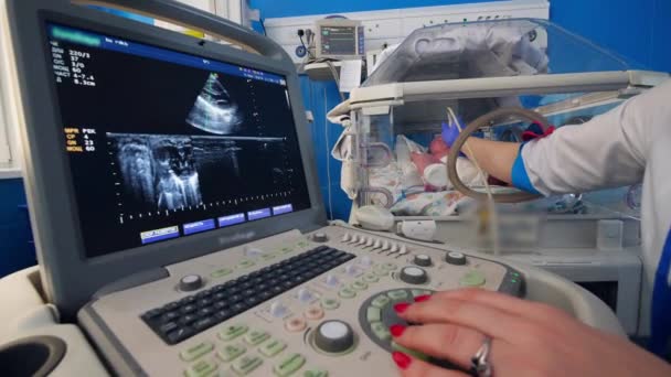El médico utiliza una herramienta de detección para observar el corazón de un recién nacido . — Vídeos de Stock
