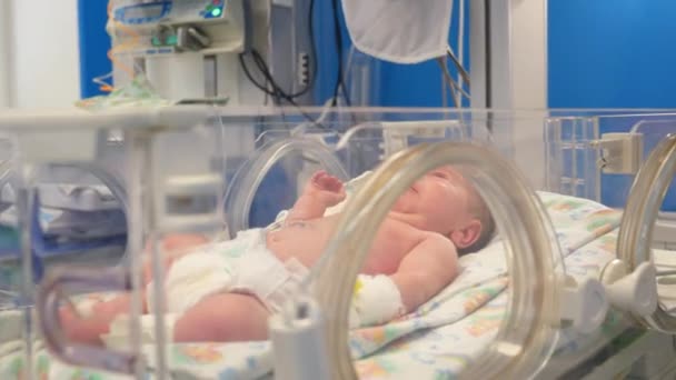 Lékaři kontrolují novorozence ve speciálním inkubátoru na klinice. — Stock video