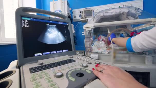 Professionele kinderarts controleert een baby in incubator, met behulp van screening tool. — Stockvideo