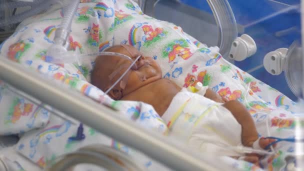 Noworodek z rurkami leżącą w inkubatorze medycznym. — Wideo stockowe