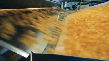 Fabrika konveyörü cips parçalarını taşıyor