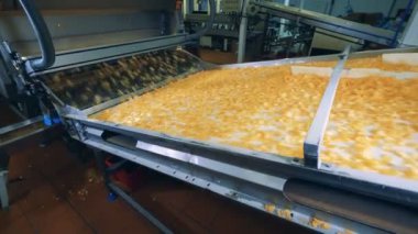 Donanımlı bitki birimi patates cipsi taşıyor