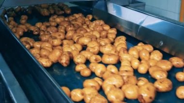 Patates yumrular Taşıyıcı boyunca akıyor