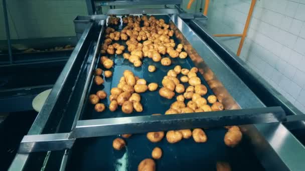 La macchina industriale sta trasferendo le patate dissotterrate — Video Stock