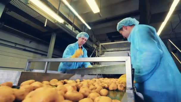 Twee mannen in uniform snijden aardappelknollen — Stockvideo